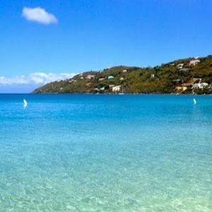 Meet your Posher, D marie